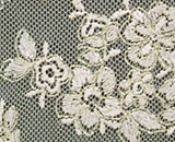 Net Lace Photo